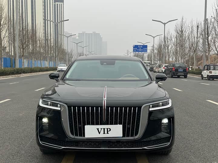 Фото 2 - Hongqi H9