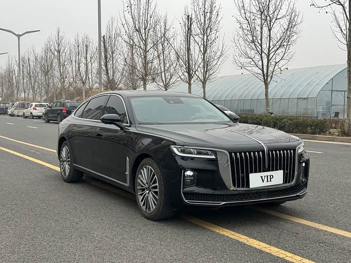 Фото 3 - Hongqi H9