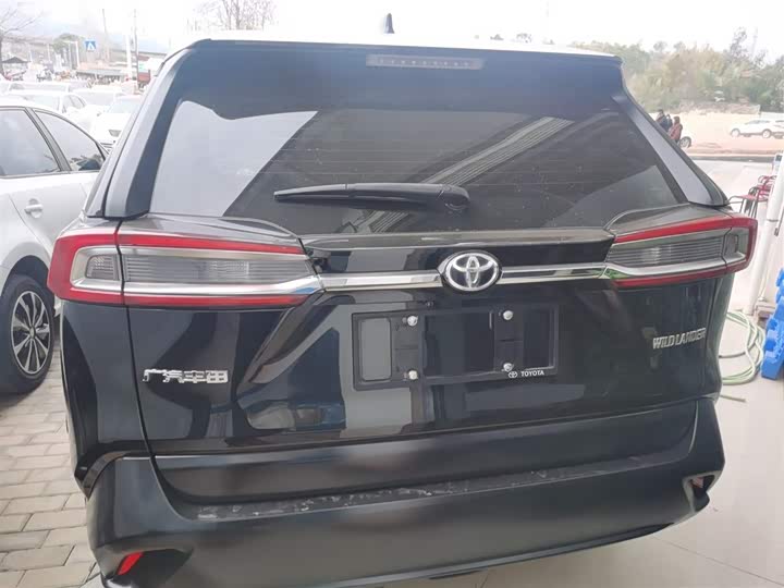 Фото 6 - Toyota Wildlander