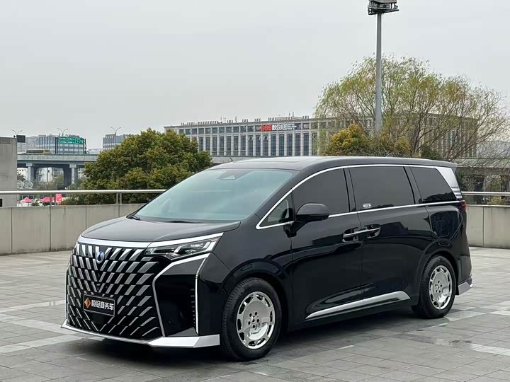 Фото 1 - Denza D9