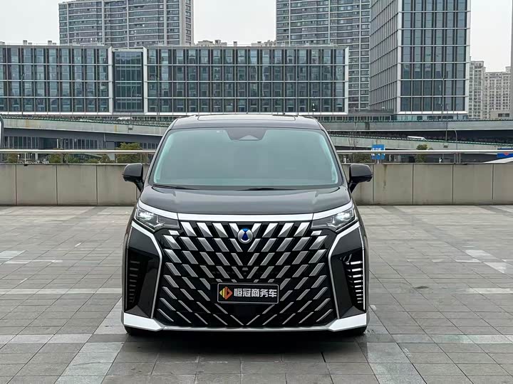 Фото 2 - Denza D9