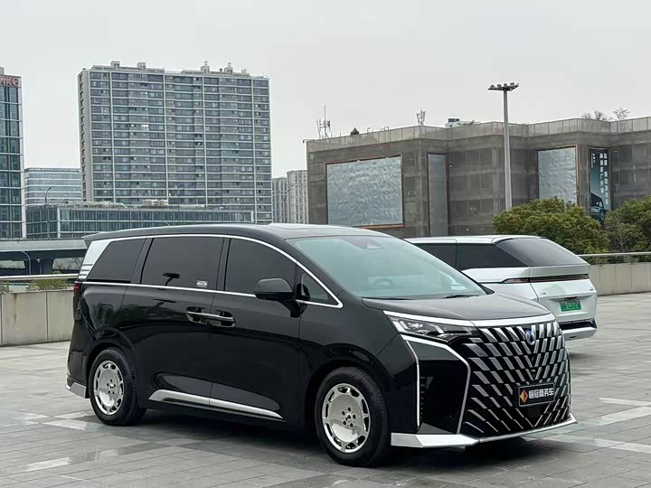 Фото 3 - Denza D9