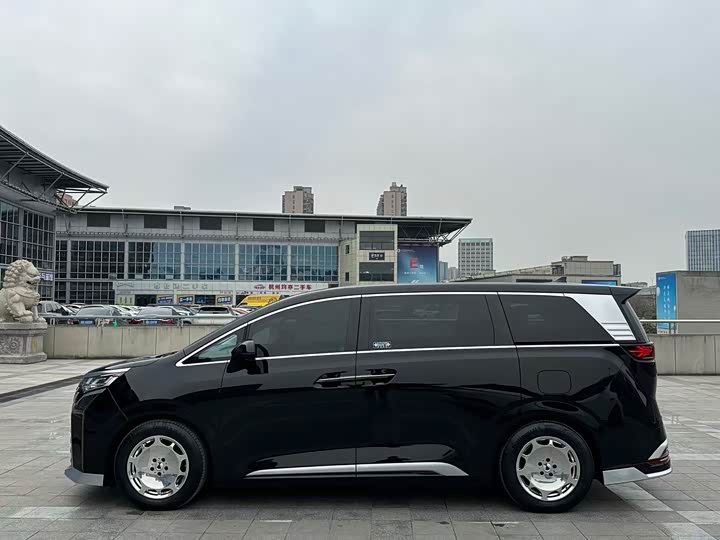 Фото 5 - Denza D9