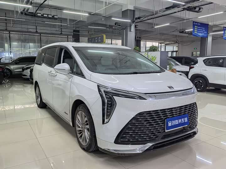 Фото 3 - Buick GL8 Century