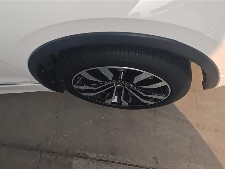 Фото 6 - Volkswagen Tiguan L Pro