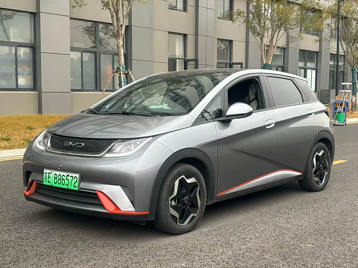 Фото 1 - BYD Dolphin