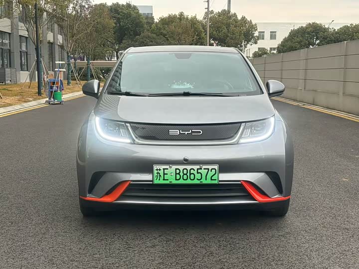 Фото 2 - BYD Dolphin