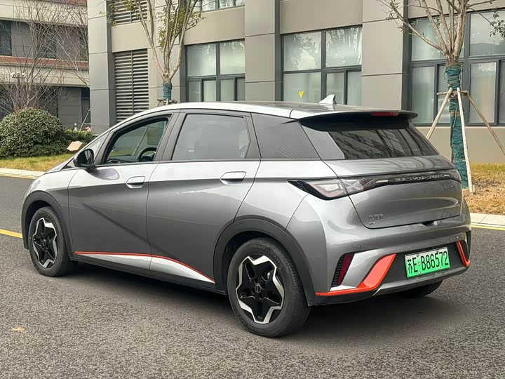 Фото 4 - BYD Dolphin