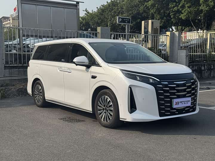 Фото 6 - BYD Xia