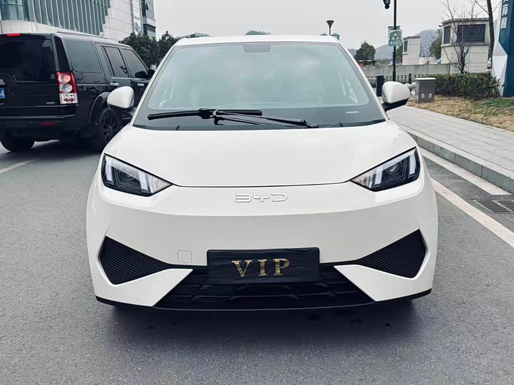 Фото 2 - BYD Seagull