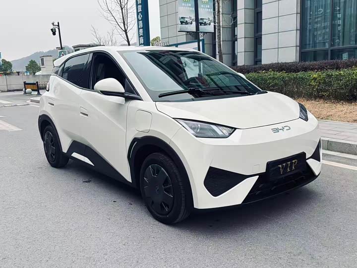 Фото 3 - BYD Seagull