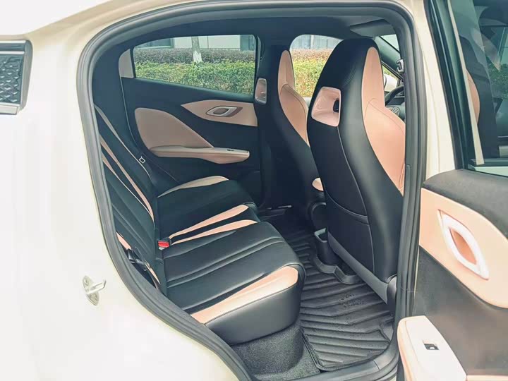 Фото 6 - BYD Seagull