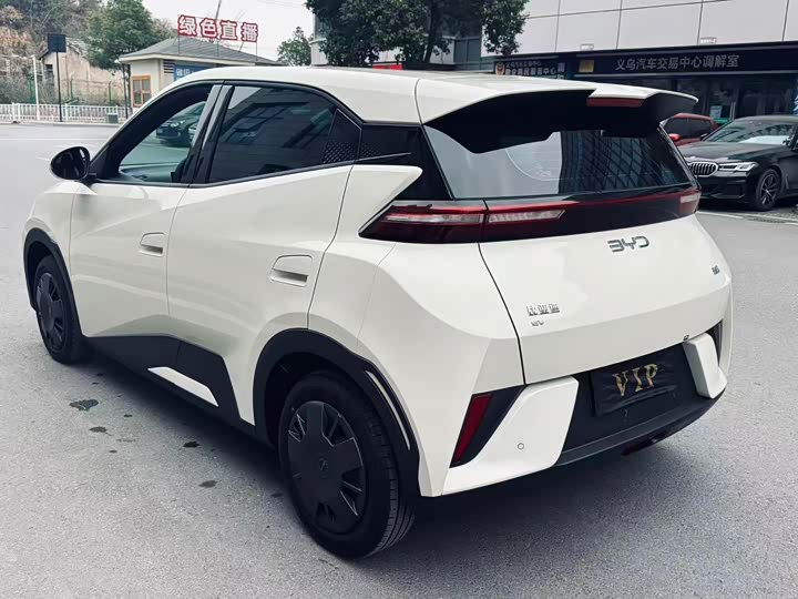 Фото 8 - BYD Seagull