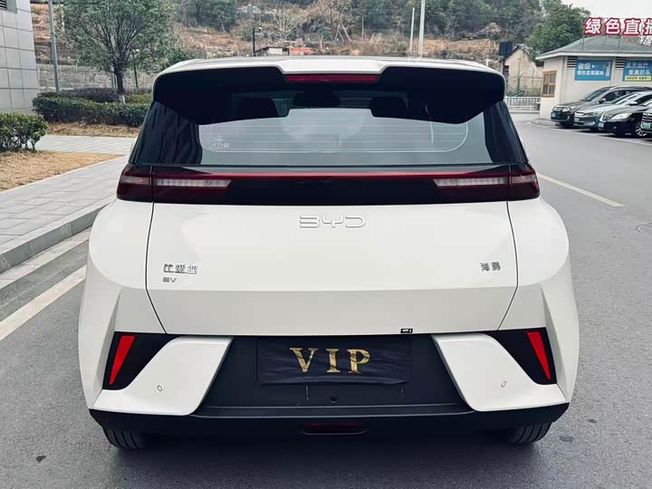 Фото 9 - BYD Seagull