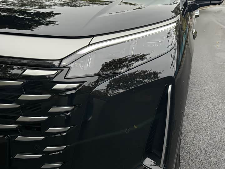 Фото 2 - BYD Xia