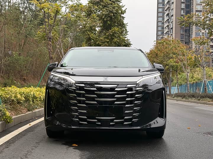 Фото 4 - BYD Xia