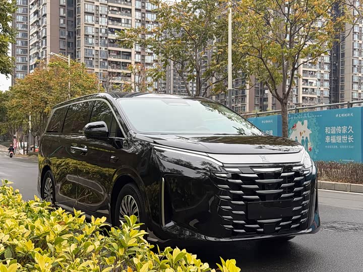 Фото 5 - BYD Xia