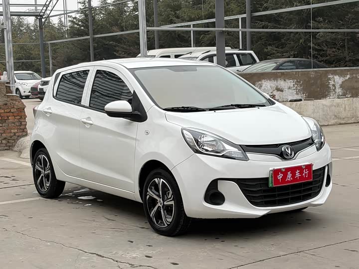 Фото 3 - Changan BenBen E-Star