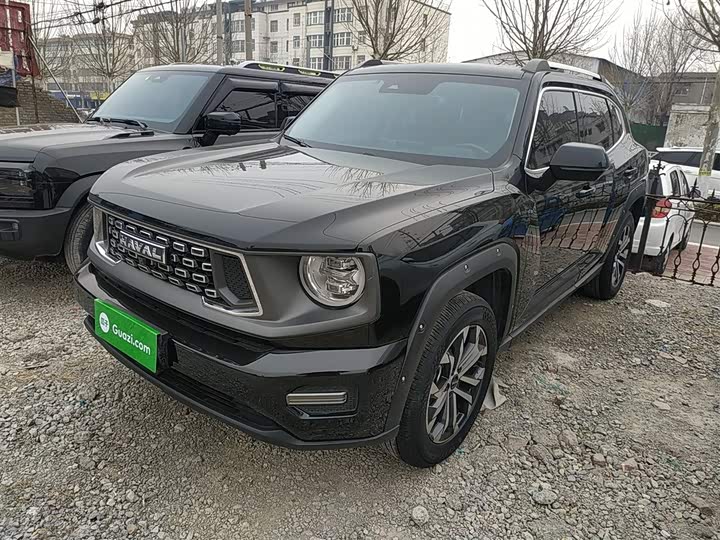 Фото 2 - Haval H-Dog