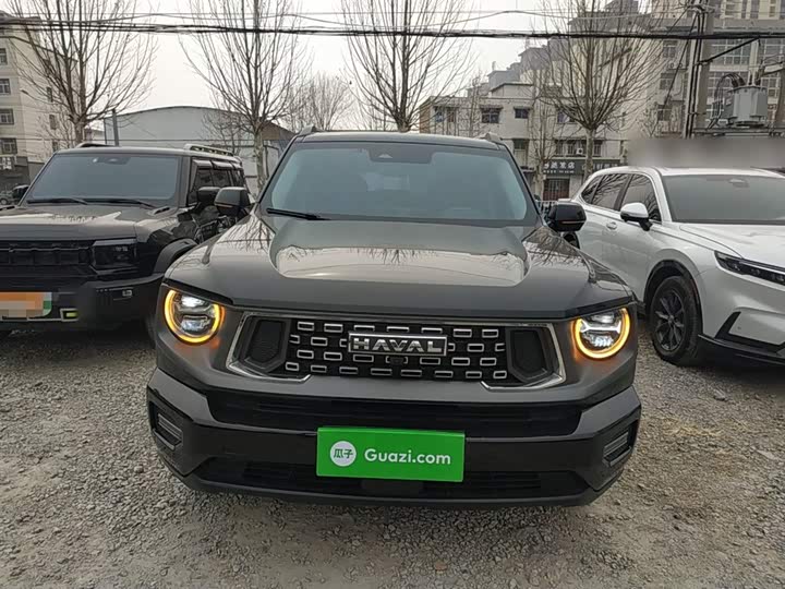 Фото 3 - Haval H-Dog