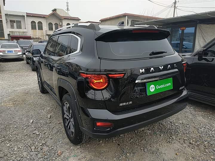 Фото 5 - Haval H-Dog