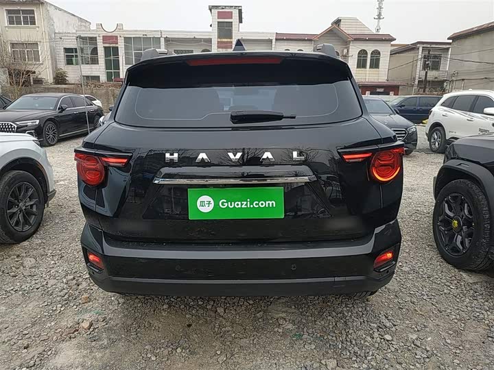 Фото 6 - Haval H-Dog