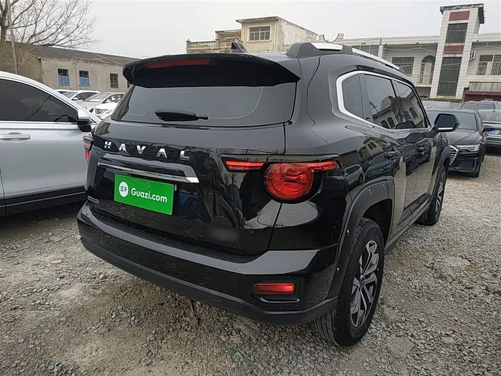 Фото 7 - Haval H-Dog