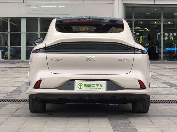 Фото 5 - IM motors LS6