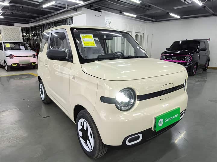 Фото 4 - Geely Galaxy Panda Mini