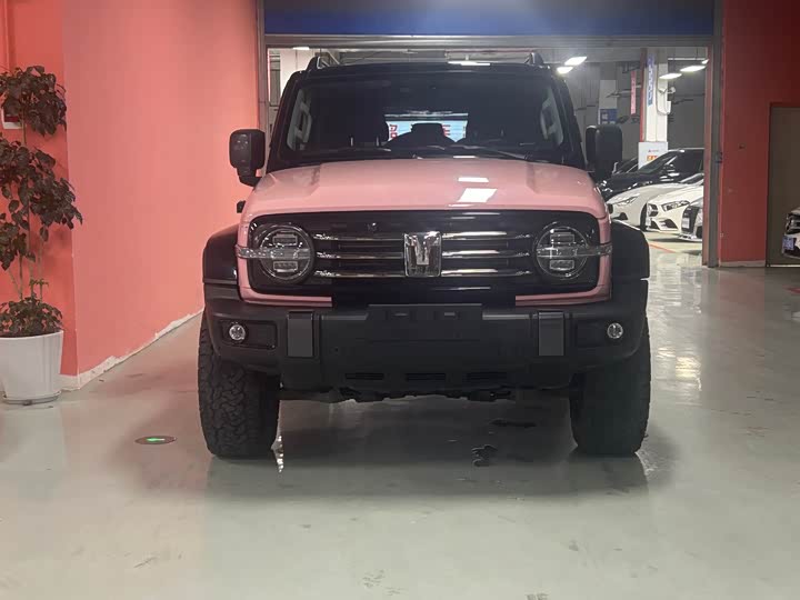 Фото 3 - Tank 300