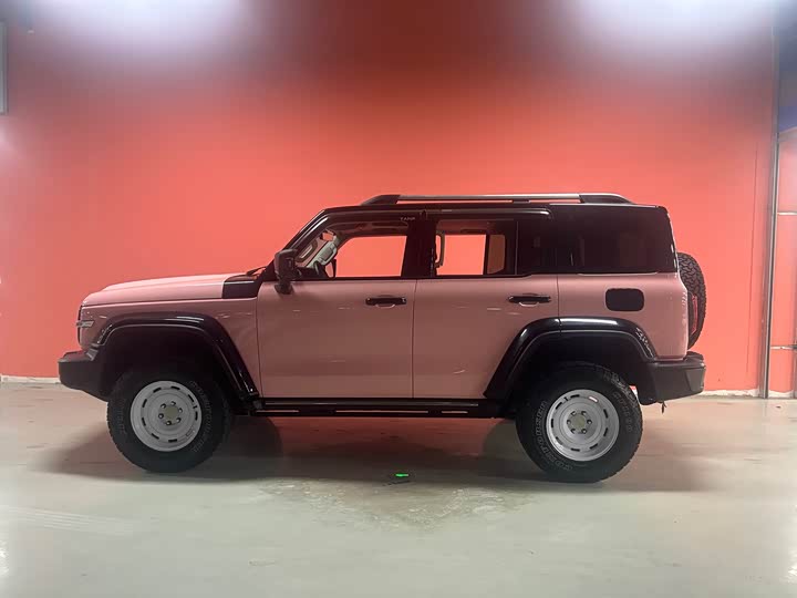 Фото 4 - Tank 300