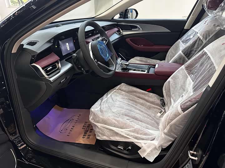 Фото 9 - Hongqi H5