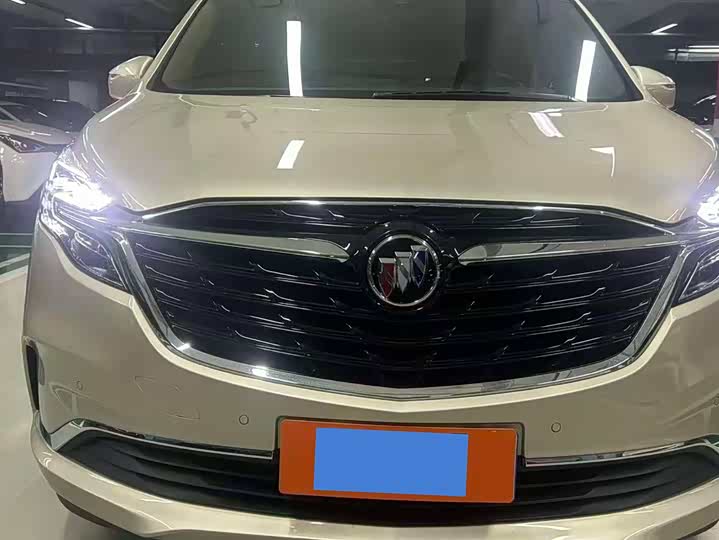 Фото 2 - Buick GL8 ES