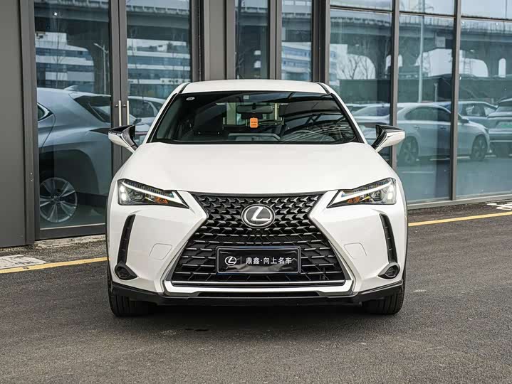 Фото 2 - Lexus UX