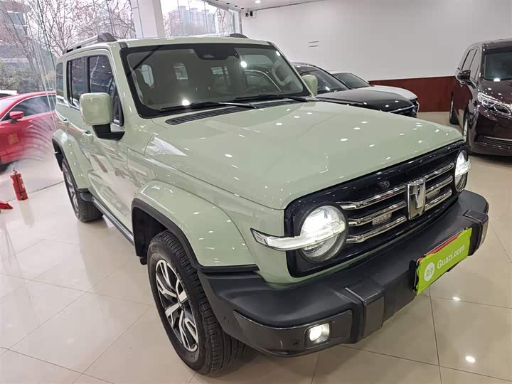 Фото 4 - Tank 300