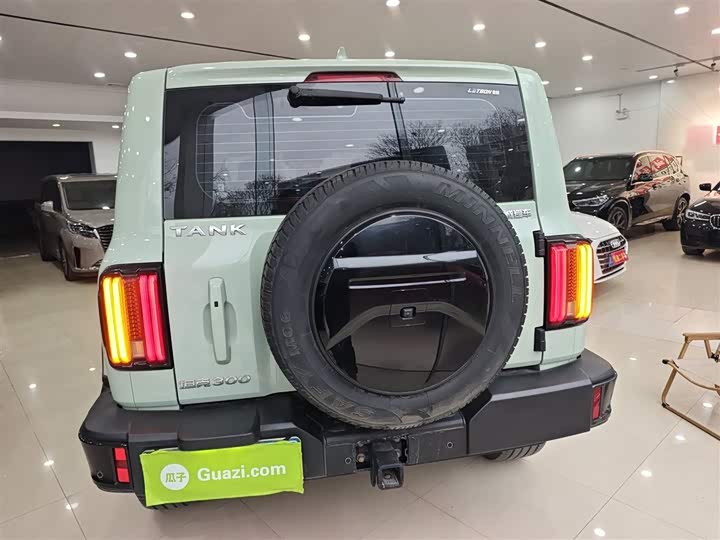 Фото 6 - Tank 300