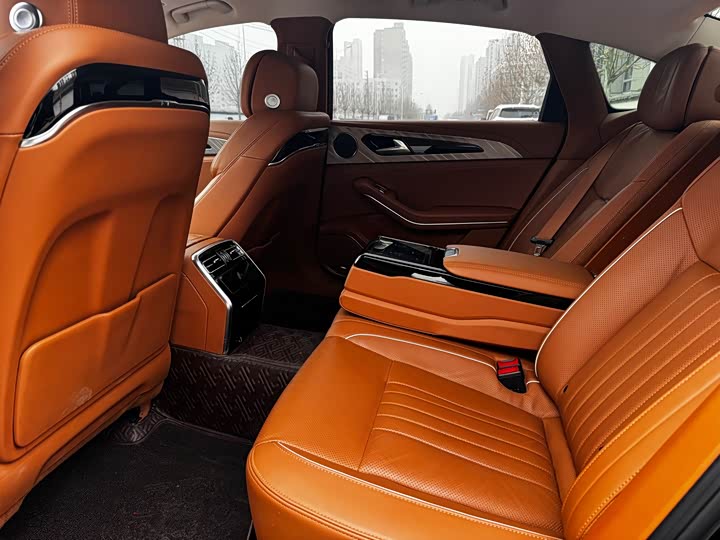 Фото 6 - Hongqi H9