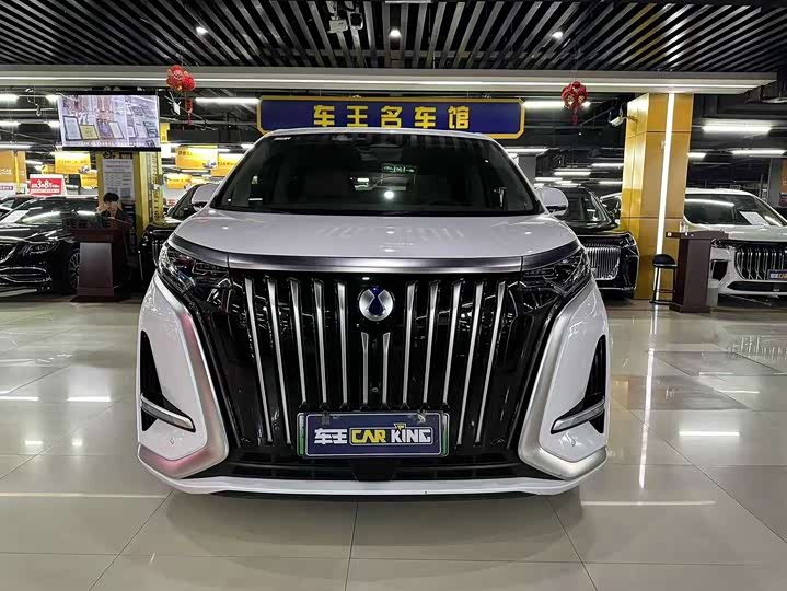 Фото 2 - Denza D9