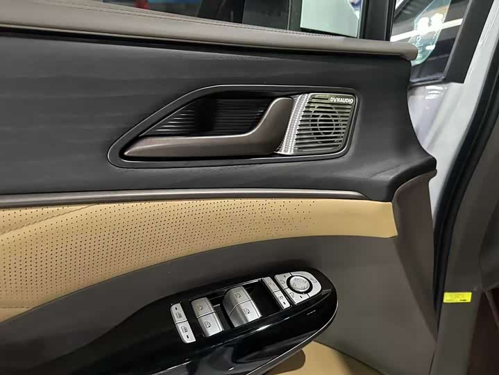 Фото 3 - Denza D9