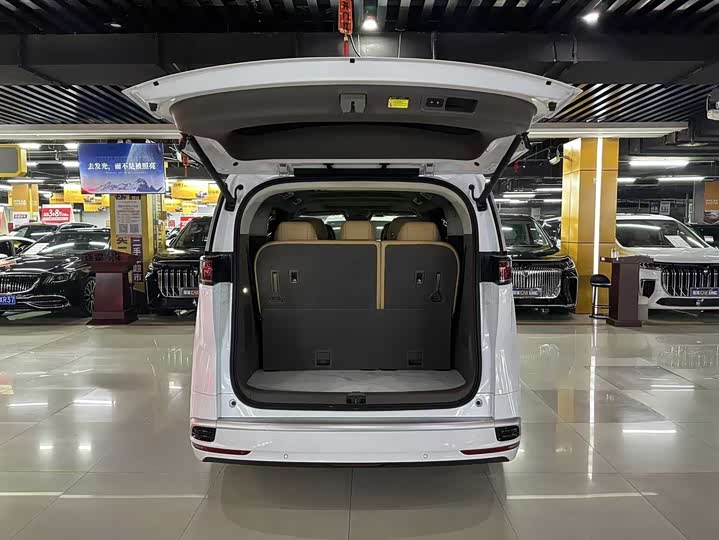 Фото 8 - Denza D9