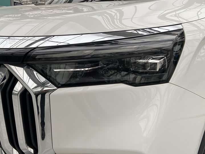 Фото 4 - Geely Okavango L