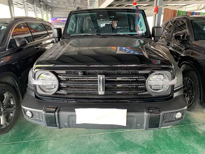 Фото 2 - Tank 300