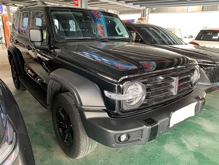 Фото 3 - Tank 300