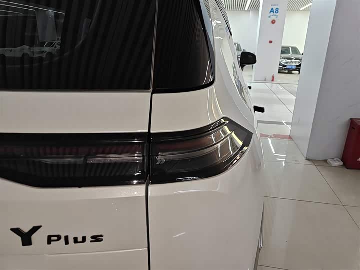 Фото 8 - GAC Aion Y