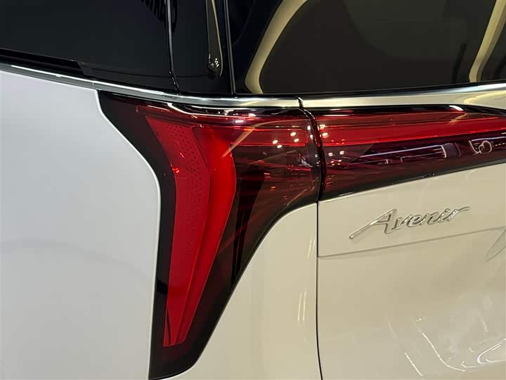 Фото 9 - Buick GL8 Century