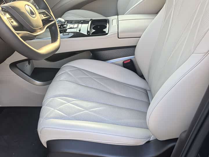 Фото 3 - Denza D9