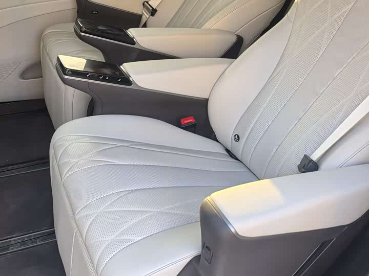 Фото 7 - Denza D9