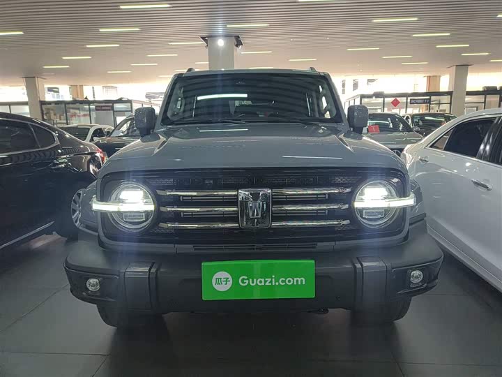 Фото 3 - Tank 300