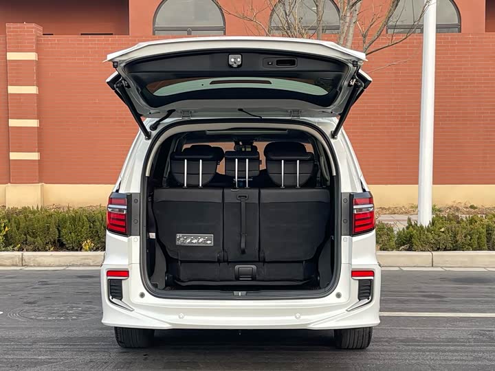 Фото 8 - Honda Elysion