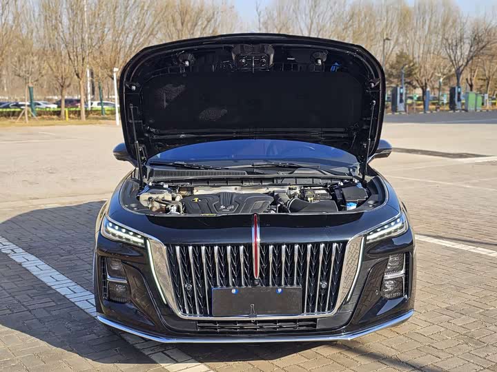 Фото 7 - Hongqi H5